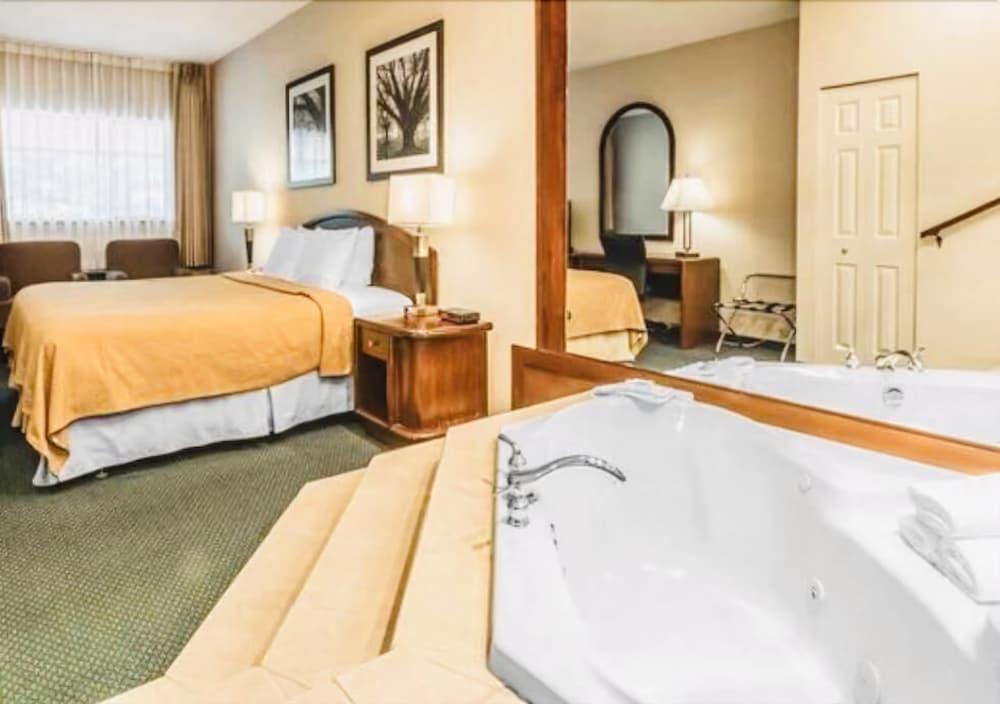Art Infiniti Hotel Pitt Meadows Zewnętrze zdjęcie