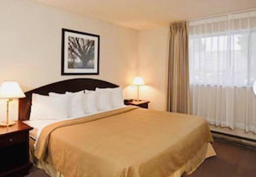 Art Infiniti Hotel Pitt Meadows Zewnętrze zdjęcie